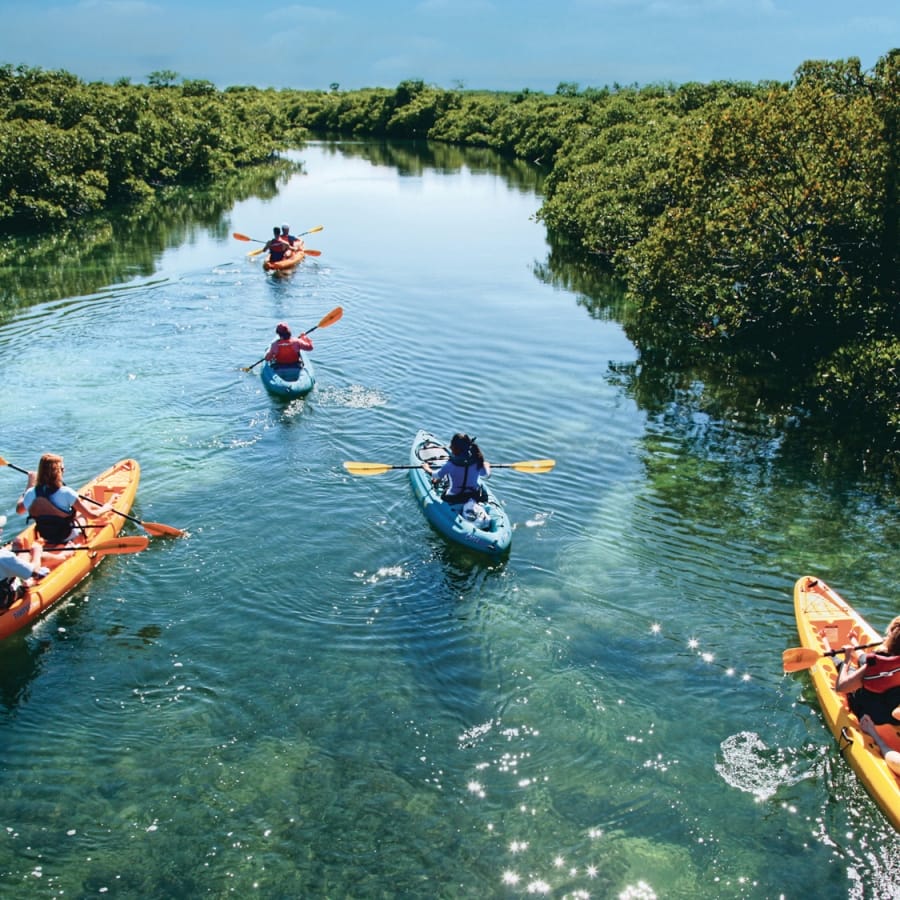 Kayaks
